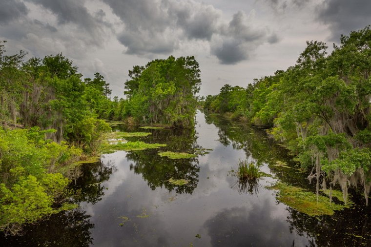 103 Jean Lafitte NP.jpg